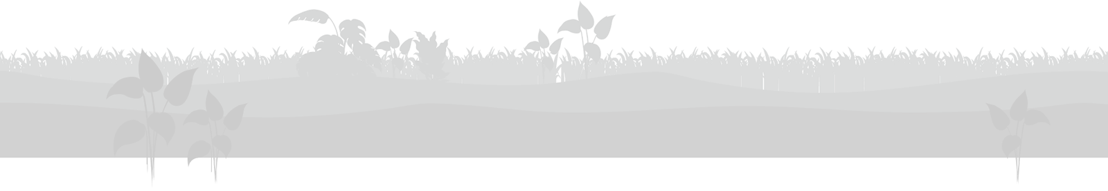 Silhouette of plants and grass on a landscape with a dark background, featuring various leaf shapes and vegetation layers.