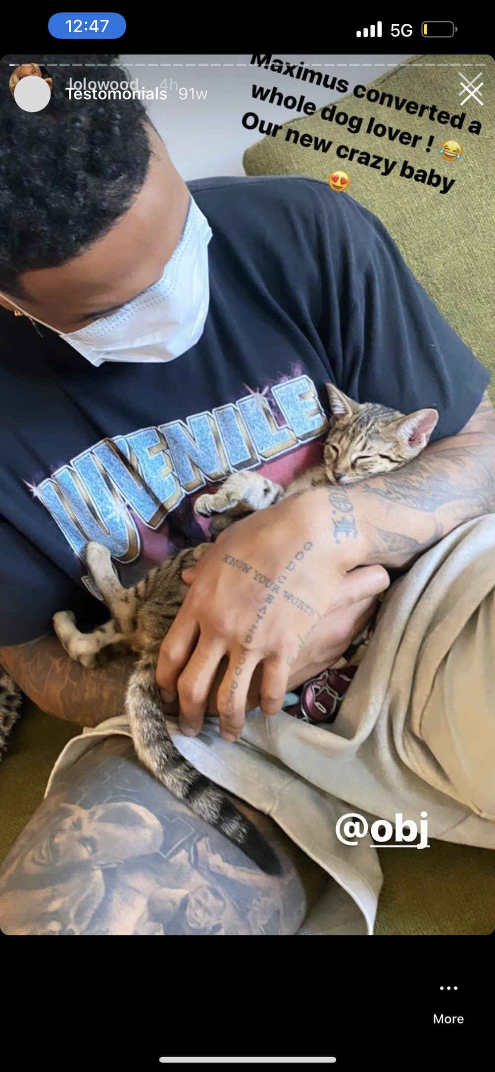 Happy Family 4 - Savannah Kitten Customer Review