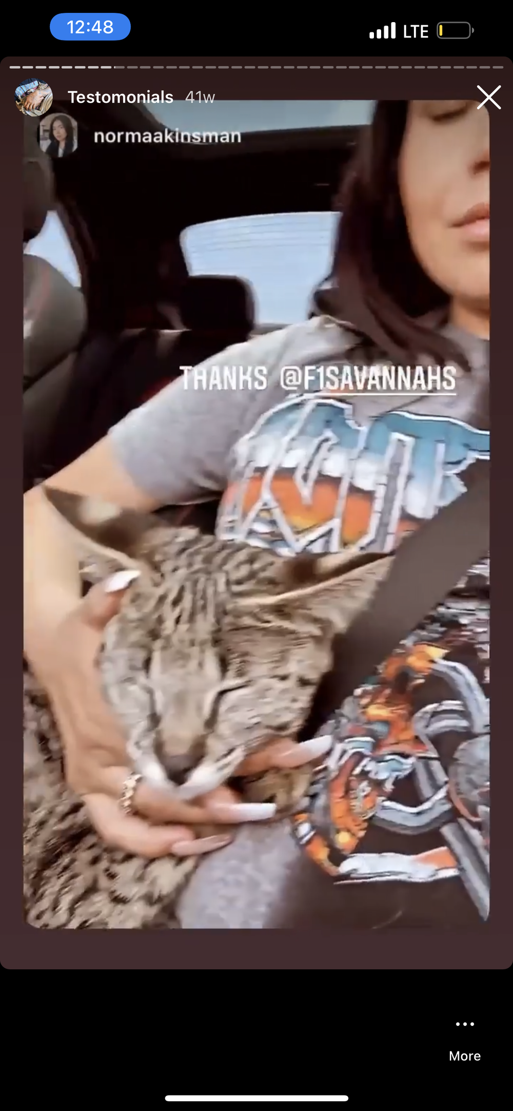 Happy Family 9 - Savannah Kitten Customer Review